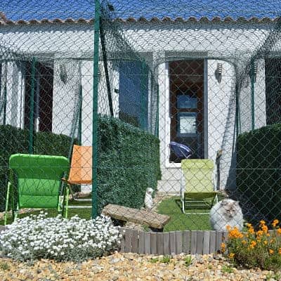 maison-chambres-pension-pour-chats-montpellier-herault